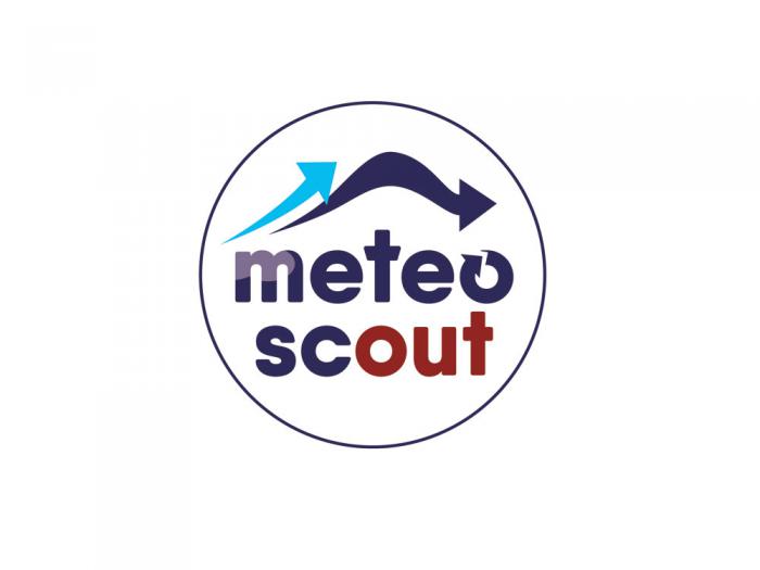 logo meteoscout encart rond