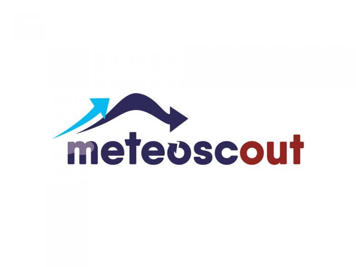 logo meteoscout sans baseline