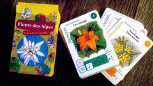 maquette du jeu de cartes fleurs des alpes