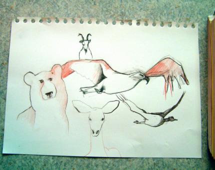 croquis d'animaux à la craie sanguine