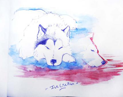 Ice Cream, malamute de son état - aquarelle d'après nature