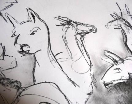 animal sketches at jardin des Plantes 03