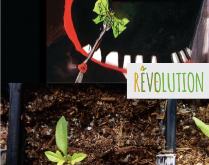 reve-evolution-jugraphics-02