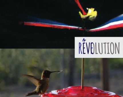 reve-evolution-jugraphics-03