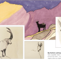 book illustration Julie Loomis - animaux de Montagne