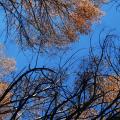 contrastes et couleurs complémentaires - le bleu et le orange