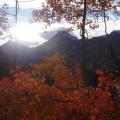 couleurs d'automne, paysage en bleu et orange