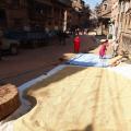 Graphisme dans la rue - séchage du grain dans les rues de Bakhtapur