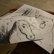 Illustrations Ours, Aigles et Cheval