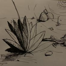 Illustration Lézard 