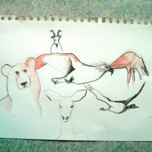 croquis d'animaux à la craie sanguine