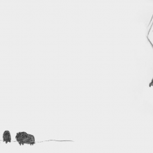illustrations choisies en page d'accueil
