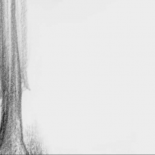 illustrations au fusain - site internet de Jean-Marie Séveno