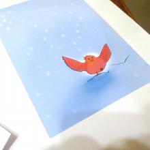 illustration couleur Le Moineau Glacé