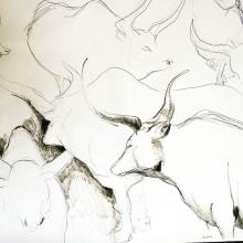 animal sketches at jardin des Plantes 01