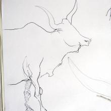 animal sketches at jardin des Plantes 02