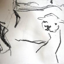 animal sketches at jardin des Plantes 04