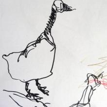 animal sketches at jardin des Plantes 05