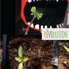reve-evolution-jugraphics-02