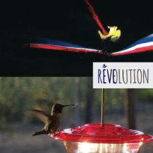 reve-evolution-jugraphics-03